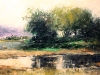 rain-water-reflection-john-lonergan