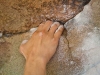 climbing-horse-pens-2