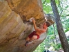climbing-horse-pens-4
