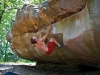 climbing-horse-pens-6