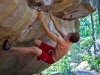climbing-horse-pens-8
