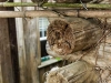 140417_clayton-garner_016