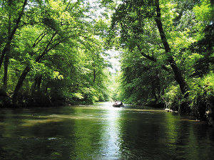 big-canoe-creek-1