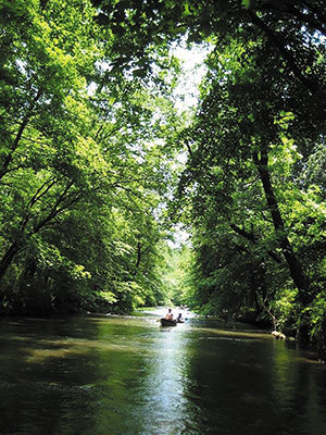 big-canoe-creek-springville
