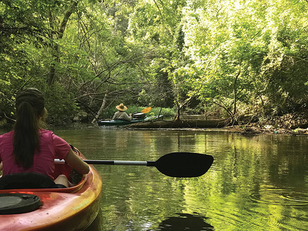 Big canoe creek nature preserve