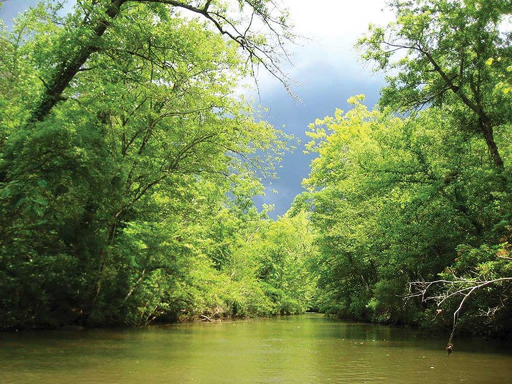 big-canoe-creek-preserve-open-st-clair-tourism